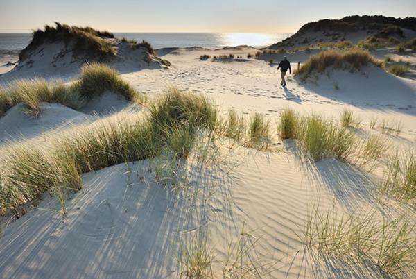 Heerlijk Vrijstaand Huis Aan De Duinen Burgh-Haamstede Eksteriør billede