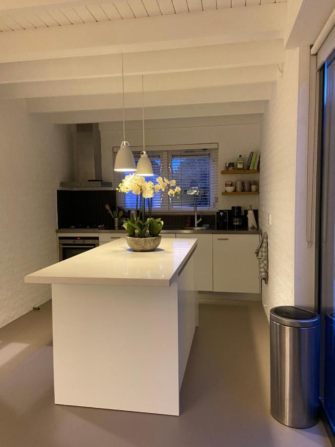 Heerlijk Vrijstaand Huis Aan De Duinen Burgh-Haamstede Eksteriør billede
